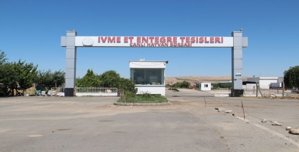 Canlı hayvan pazarı geçici kapatıldı